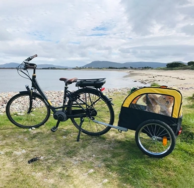 A bicycle with a trailer on a grassy beach, mountains in the background.